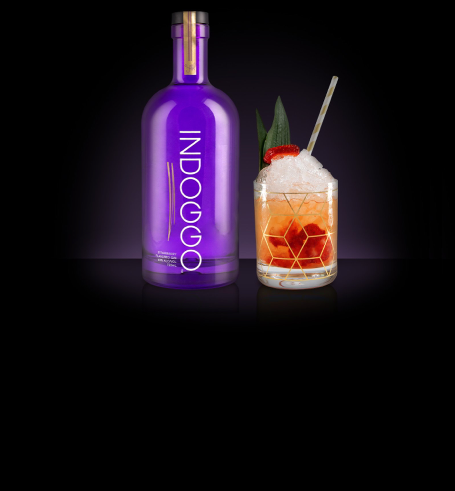 INDOGGO® The Remix Cocktail